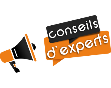 logo conseils d'experts